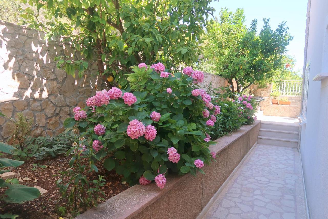 Cvita Apartments Trogir Dış mekan fotoğraf